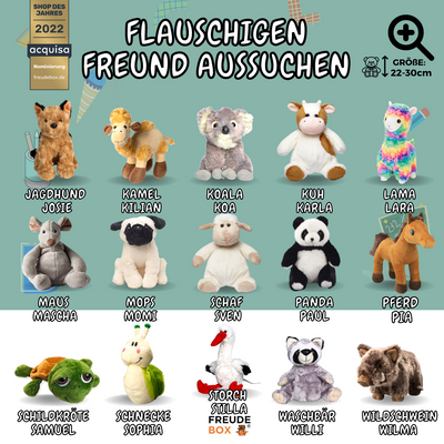 Einschulung FREUDEBOX®