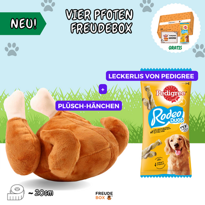 Vier Pfoten FREUDEBOX®
