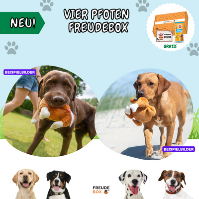 Vier Pfoten FREUDEBOX®