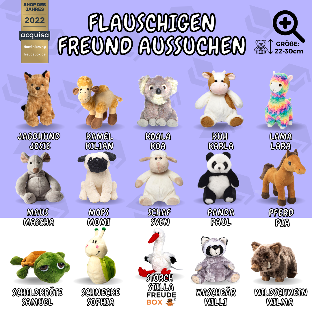 Glückwunsch FREUDEBOX®