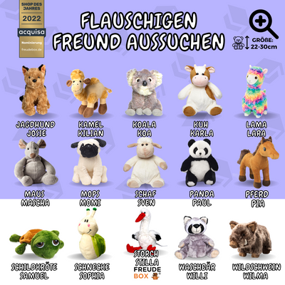 Glückwunsch FREUDEBOX®