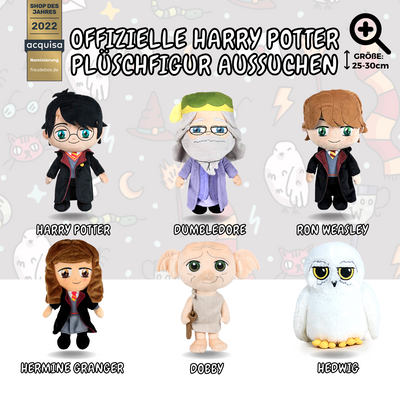 Harry Potter - FREUDEBOX®