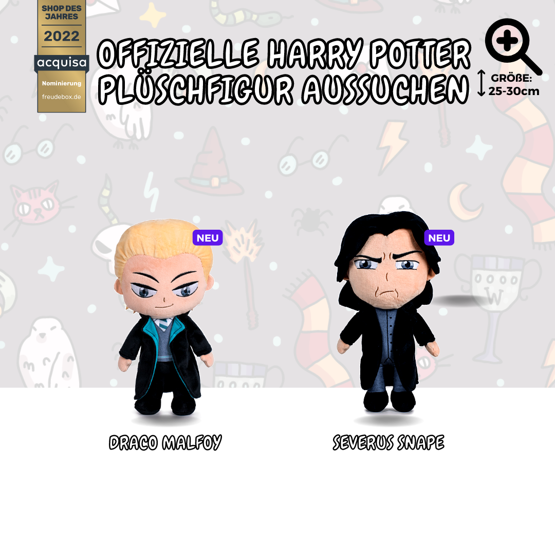 Harry Potter - FREUDEBOX®