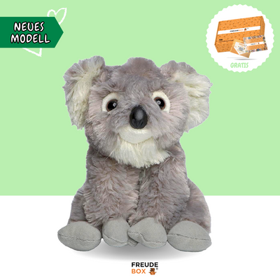 Koa der Koala