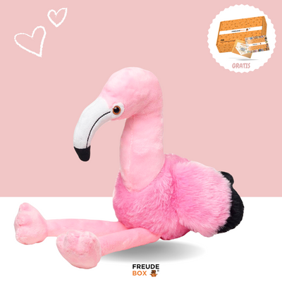 Flavio das Flamingo