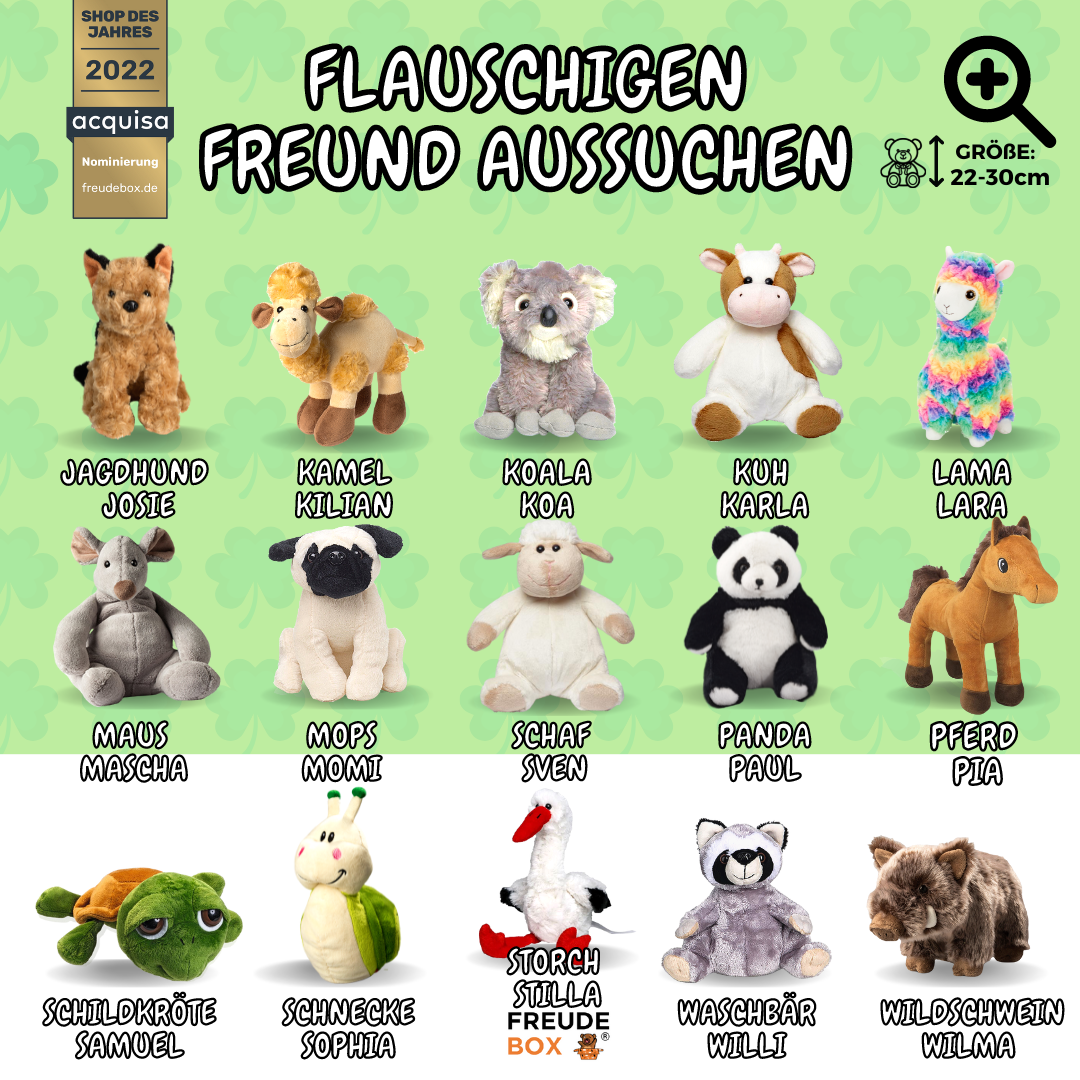 viel-glueck-freudebox-gluecksbringer-geschenk-bevorstehende-prüfung