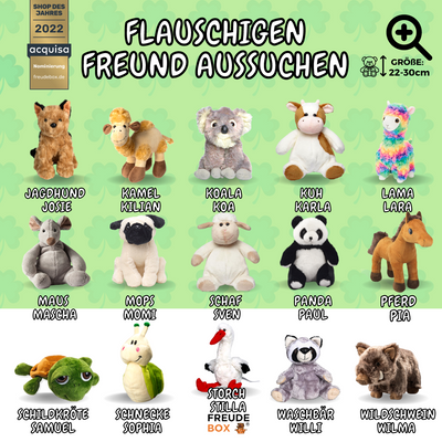 viel-glueck-freudebox-gluecksbringer-geschenk-bevorstehende-prüfung